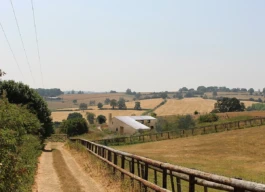 A house with a chimney on a sunny hillside surrounded by fields and trees.